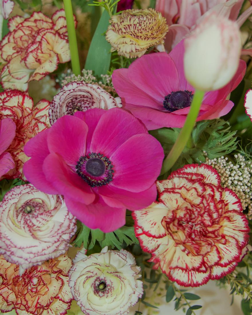 Detalle de anémona fucsia y claveles jaspeados
